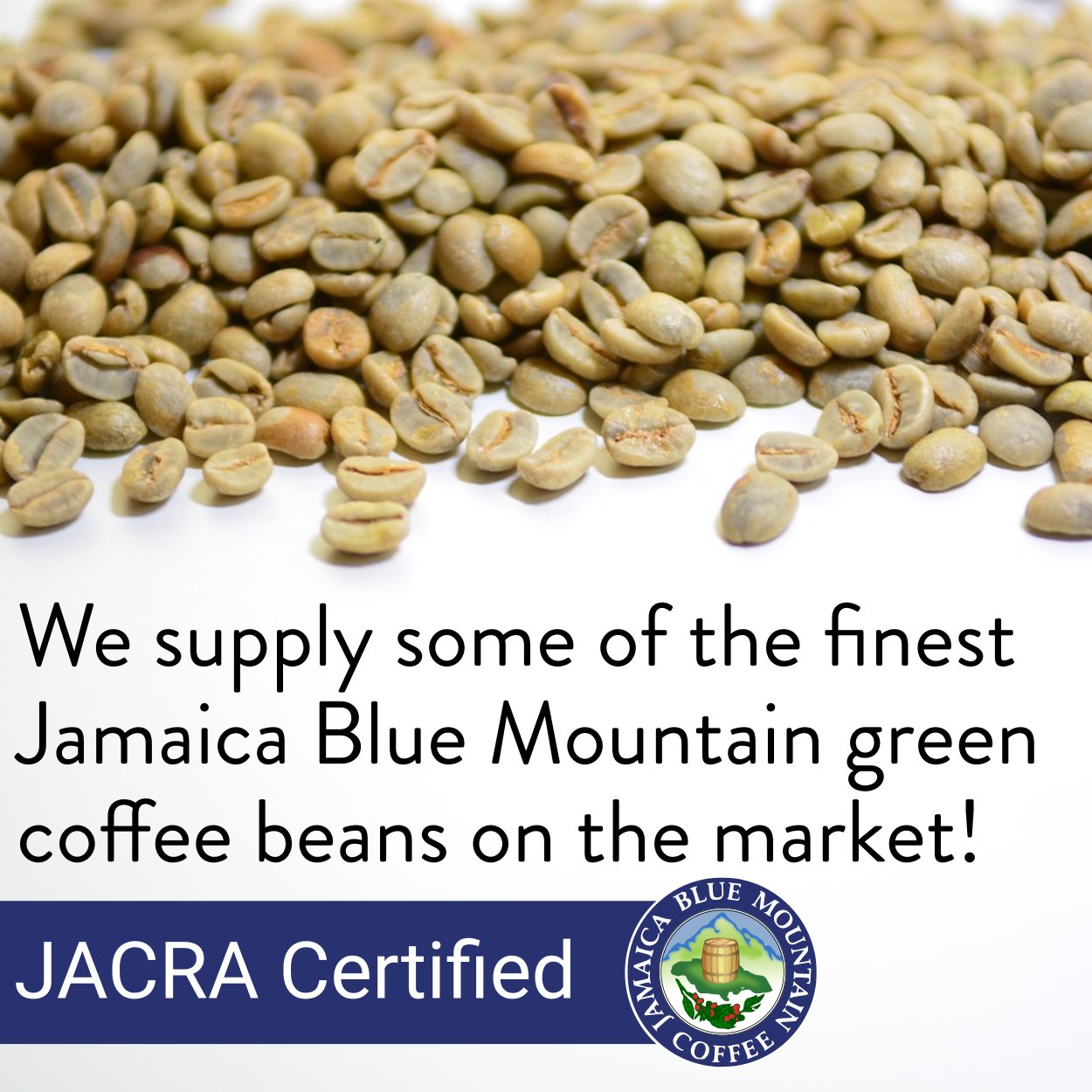Genuine Jamaican Blue Mountain Green Coffee Beans Genuine Blue