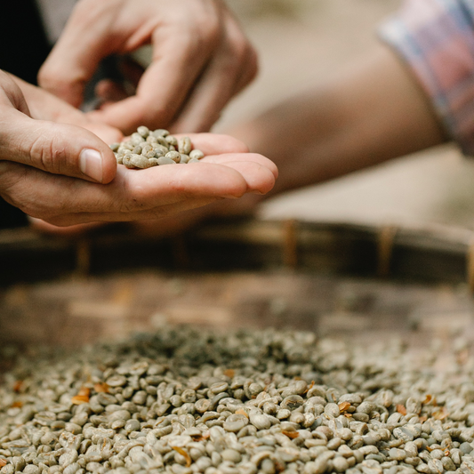 Fus Light JBM Green Beans | 1 lb