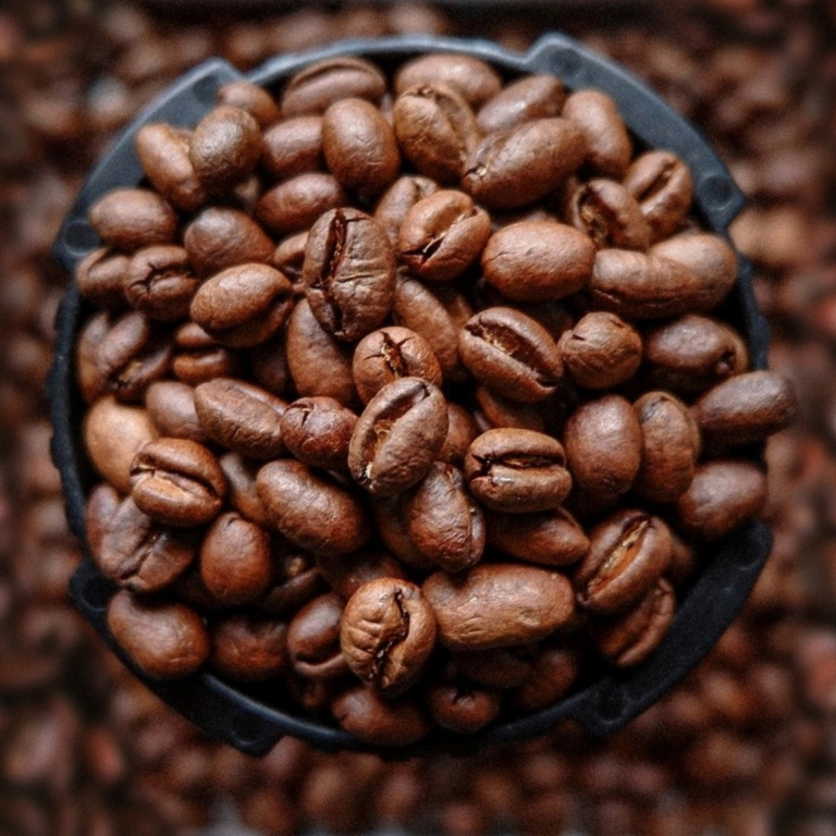 roast peaberry coffee beans