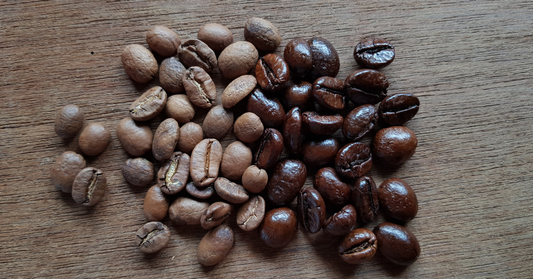 arabica vs robusta coffee beans difference